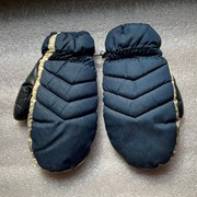 Cover image of Ski Mittens